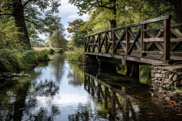 Fototapeta premium Rustic wooden footbridge over a tranquil stream in a forest