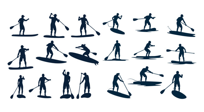 Silhouettes of people paddle boarding on water