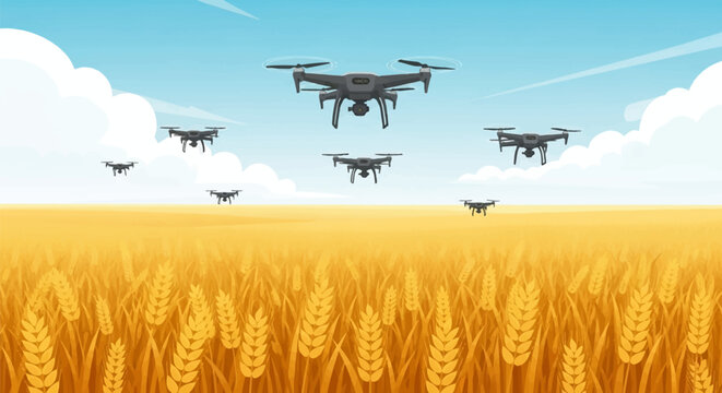 Vector illustration of multiple robotic quadcopter drones flying in formation over a vast golden wheat field under a clear blue sky for smart farming and agricultural monitoring.