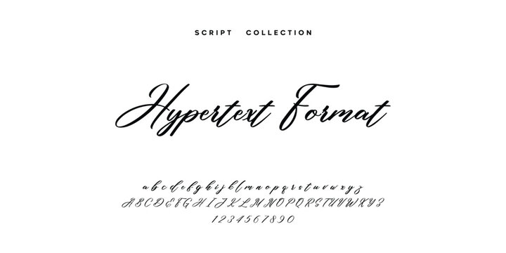 Script Font Collection: "Hypertext Format" Hand-Lettered Typography with Alphabet and Numbers