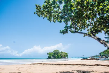 Fototapeten Tropischer Strand Mirissa Beach with Tropical Island and Turquoise Waters, Sri Lanka  © Sithila