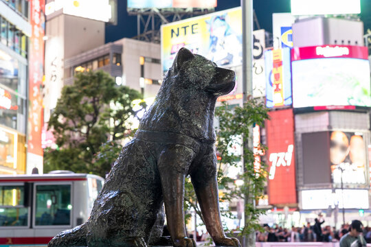 忠犬ハチ公 Images – Browse 57 Stock Photos, Vectors, and Video