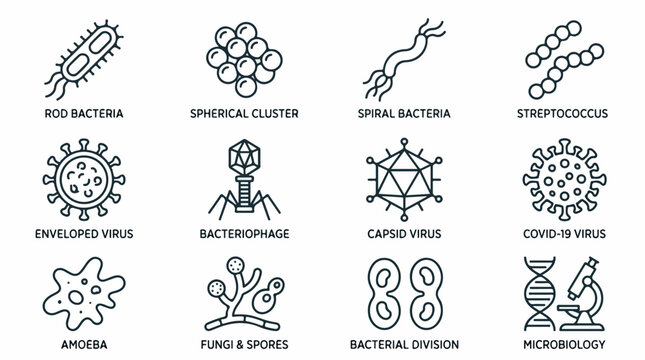 Microbiology line icon set with 12 vector elements, bacteria and virus types collection, scientific laboratory research symbols for medical education isolated PNG with Transparent Background