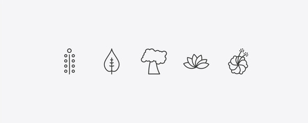 nature outline icon set. thin line mimosa, nut leaf, protea, hibiscus icons. editable vector © Farahim