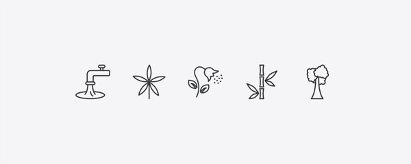 nature outline icon set. thin line wate, palmatelly, bamboo branches, tree with white foliage icons. editable vector © Farahim