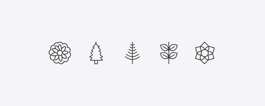 nature outline icon set. thin line astrantia, eastern redcedar tree, pinnate, clematis icons. editable vector