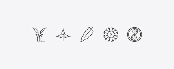 nature outline icon set. thin line reed bed, pinnation, knapweed, fengshui icons. editable vector © Farahim