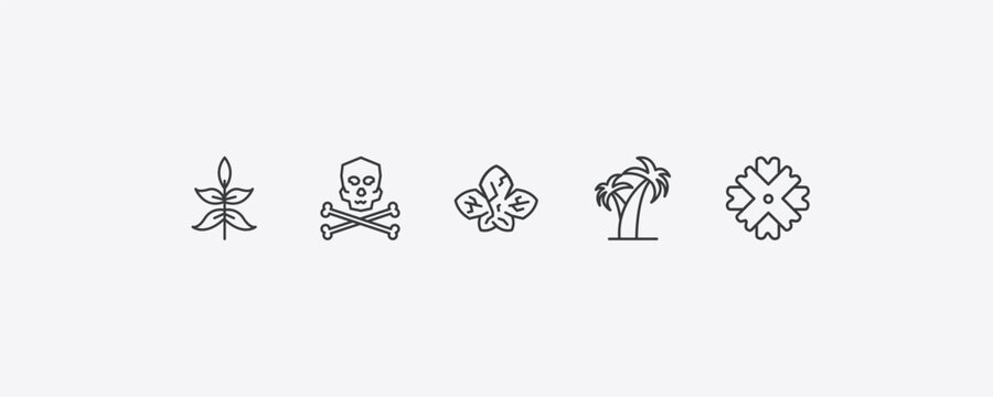 nature outline icon set. thin line sprig with five leaves, death, coconut tree standing, wedelia icons. editable vector