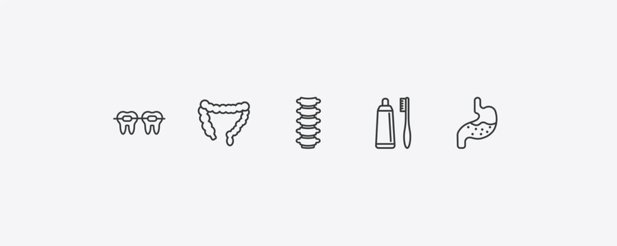 medical outline icon set. thin line braces, colon, brush with tooth paste, stoh icons. editable vector