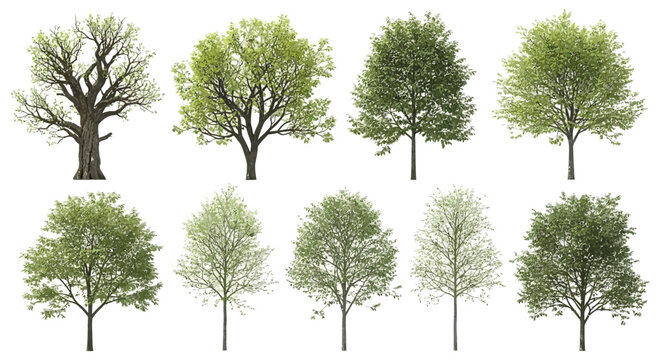 collection of diverse trees with lush green foliage isolated on white background