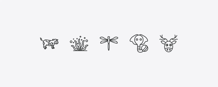 animals outline icon set. thin line cow, seaweed, elephant on a ball, moose icons. editable vector