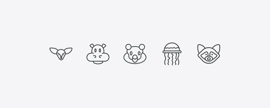 animals outline icon set. thin line fennec fox, hippopotamus, medusa, raccoon icons. editable vector