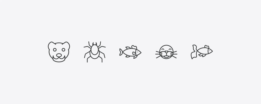 animals outline icon set. thin line mink, mite, seal, gold fish icons. editable vector