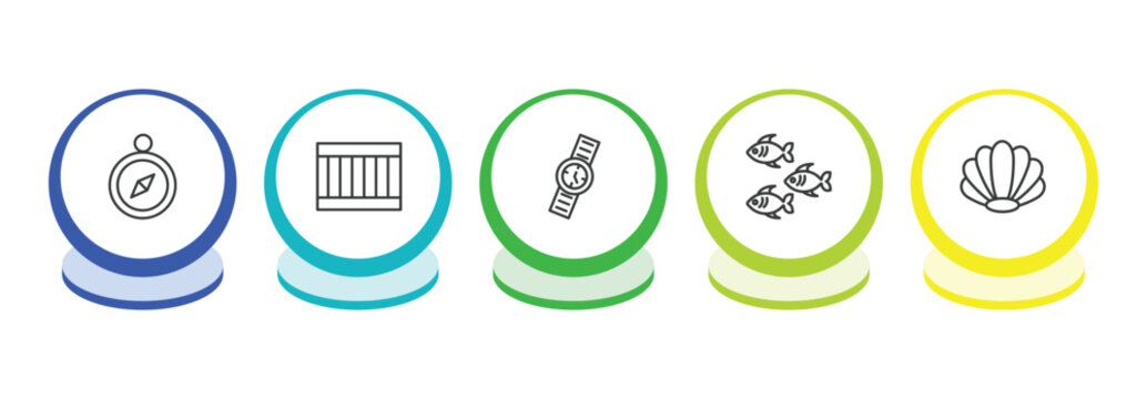 nautical outline icon set. thin line compass inclined, big crate, water resist watch, fishes icons. editable vector