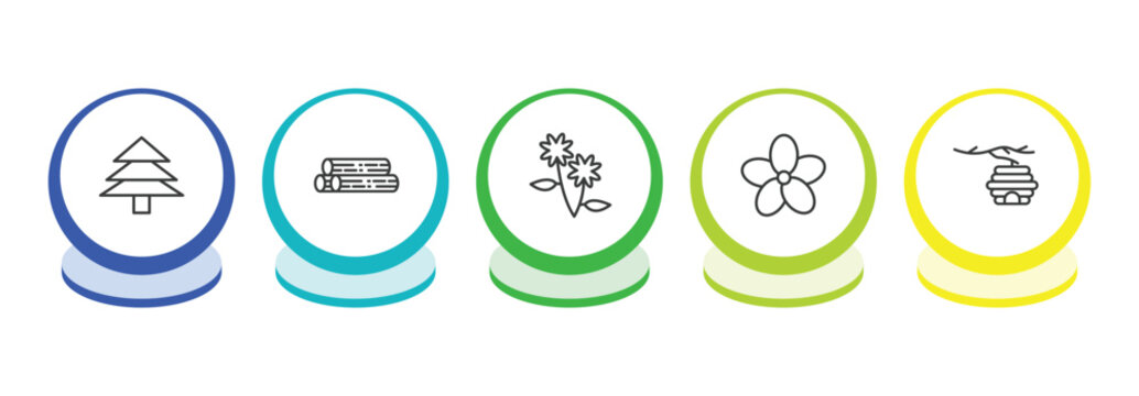 nature outline icon set. thin line pine tree, woods, pair of flowers, oleander icons. editable vector