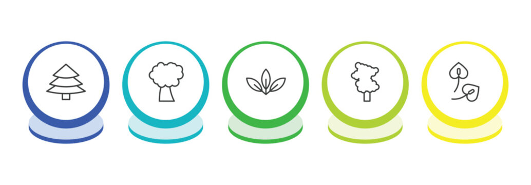 nature outline icon set. thin line red spruce tree, pin cherry tree, acicular, sassafras tree icons. editable vector