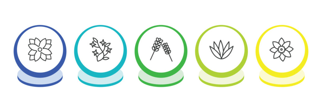 nature outline icon set. thin line zinnia, ikebana flowers, lavender, agave icons. editable vector