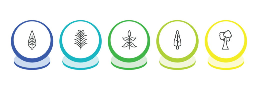 nature outline icon set. thin line lanceolate, yew leaf, sprig with five leaves, arborvitae tree icons. editable vector