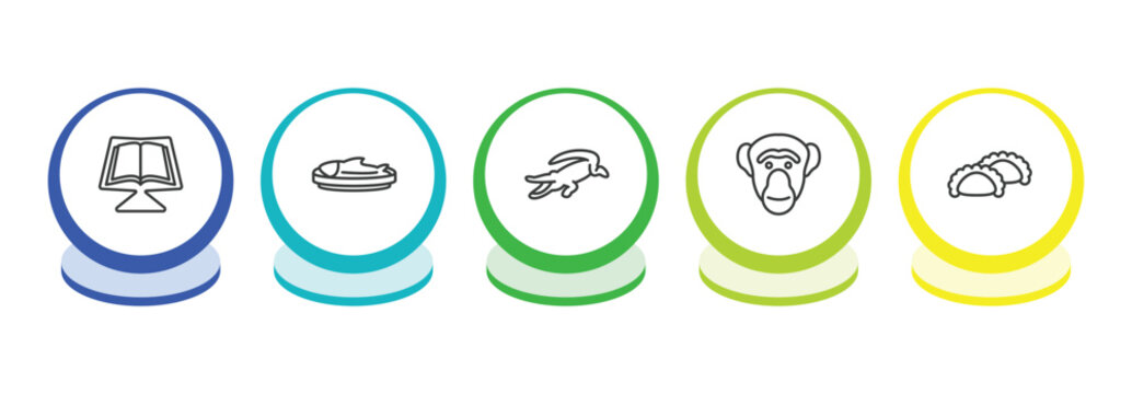 culture outline icon set. thin line quran book, imperial carp, australian alligator, chimp face of brazil icons. editable vector