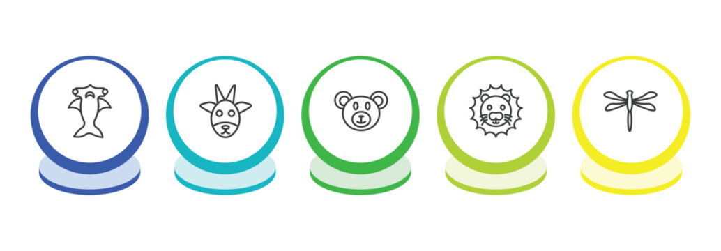 animals outline icon set. thin line hummerhead, goat, bear, lion icons. editable vector