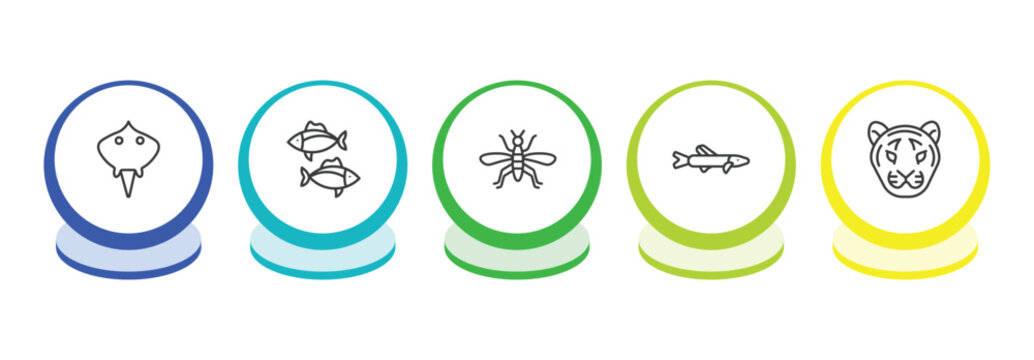 animals outline icon set. thin line ray, tuna, mosquito, pike icons. editable vector