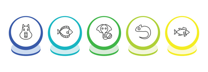 animals outline icon set. thin line capybara, flounder, elephant on a ball, chameleon icons. editable vector © Farahim