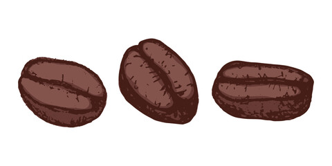 Fototapeta premium Set of hand drawn fresh roasted coffee bean Arabica robusta seed doodle Single element for design print packaging label decor