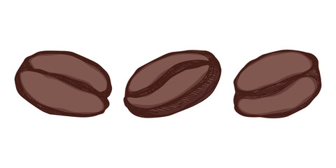 Fototapeta premium Set of hand drawn fresh roasted coffee bean Arabica robusta seed doodle Single element for design print packaging label decor