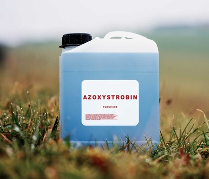 Azoxystrobin Fungicide