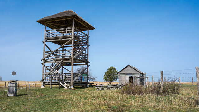 Wooden observation tower in Randu Plavas meadow landscape used for birdwatching and wildlife observation, highlighting biodiversity conservation, ecotourism and seasonal bird nesting habitats