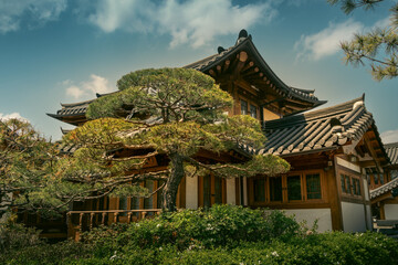 Naklejka premium Beautiful traditional Korean hanok house with elegant pine tree