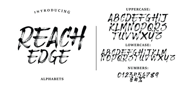 REACH EDGE font brush script alphabet