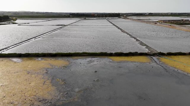 Aerial view of rectangular salt pans and access roads at Salina Galia Canino near Trapani, Sicily, showing water basins and coastal wetlands.
