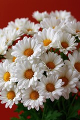 Obraz premium Vertical closeup of white daisy bouquet with yellow centers on red background for vertical wallpaper and editorial floral layout