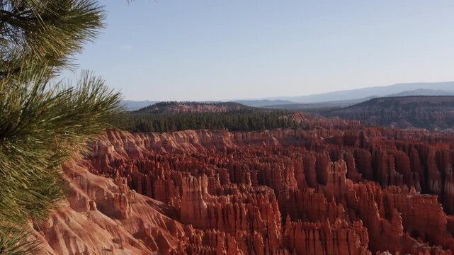 Dawn light on orange hoodoos, a pine tree, and the distant landscape at Bryce Canyon National Park in southern Utah