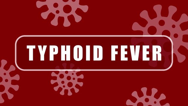 Typhoid Fever Alert Animation | Bacterial Disease Warning Motion Background