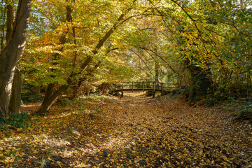 Obraz premium Ausgetrockneter künstlicher Flusslauf im herbstlichen 