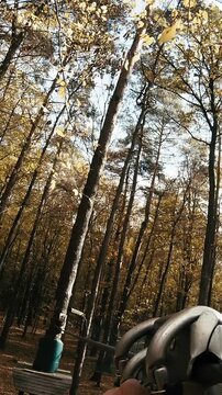 Person POV flying on zip-line looking around the autumn forest