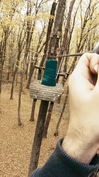 Person POV zip-line between trees at adventure park