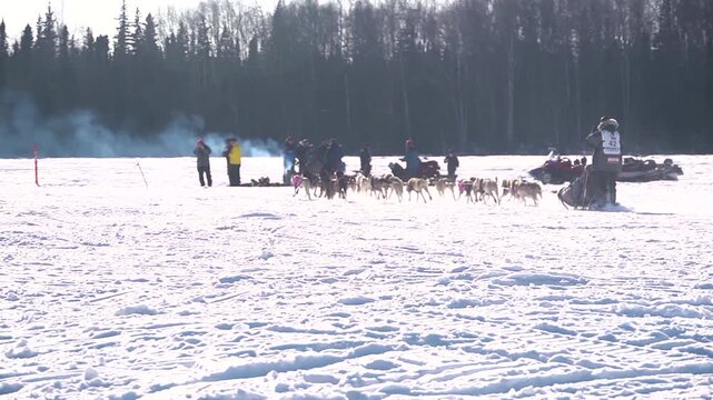 alaskan dog sled race teams sledding on a frozen lake