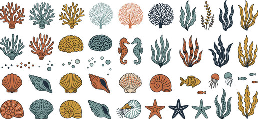 Large collection of nautical marine life illustrations with corals shells seahorses starfish jellyfish and seaweed for children nursery decor and coastal themed design projects. © Najmus Shakib