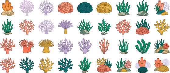 Large collection of colorful coral reef illustrations featuring seaweed sea plants anemones and various coral types for marine life projects and children educational designs. © Najmus Shakib