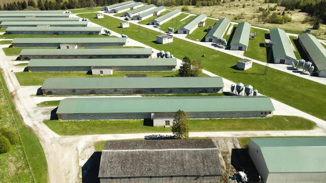 Aerial View of an Industrial Poultry Chicken Farm for Meat and Egg Production on a Sunny Day in the Countryside