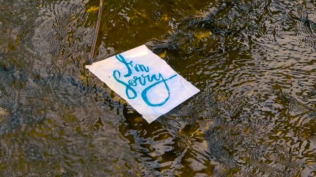 Handwritten I'm Sorry Message Floating Away on a River Current Representing Forgiveness and Letting Go