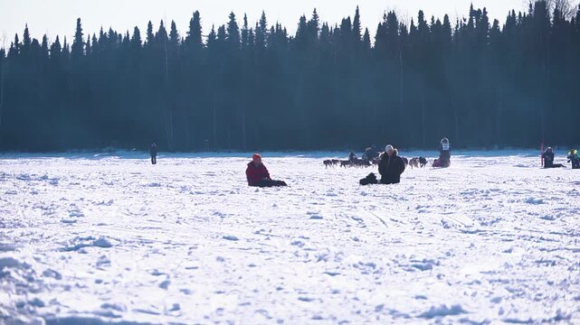 musher and dog sled team racing in the snow