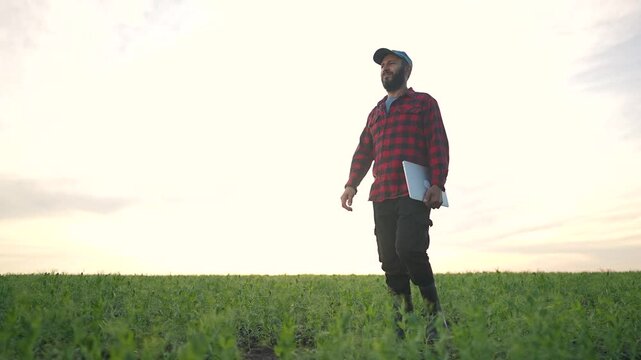 Farmer man with laptop stands calmly green field. Technology aids agriculture inspection daily. Man surveys crop growth, ensures field thrives. Agriculture needs smart checks for healthy green plants.