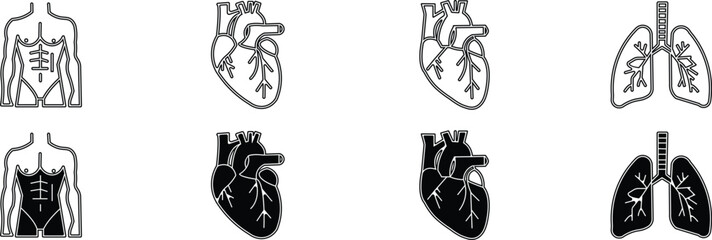 Naklejka premium Anatomical heart and lung illustrations with human torso