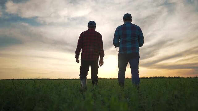 Farmer holds plants on field walk. Man team moves over grass. Nature quiet under sunset. Farmer leads outdoor talk with team. Field shows green space where man and farmer walk side by side calmly.