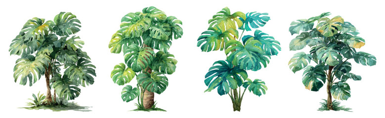 Watercolor monstera plants creating a set of lush tropical greenery, ideal for botanical illustrations, natural patterns, and inviting decorative elements © Mari