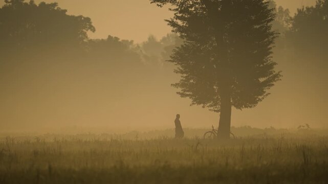 View of a person standing in a misty field next to a tall tree and a bicycle during a golden sunrise in Bogura, Rajshahi Division, Bangladesh.